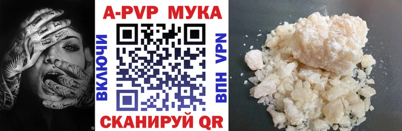 Альфа ПВП СК КРИС  Ачхой-Мартан 