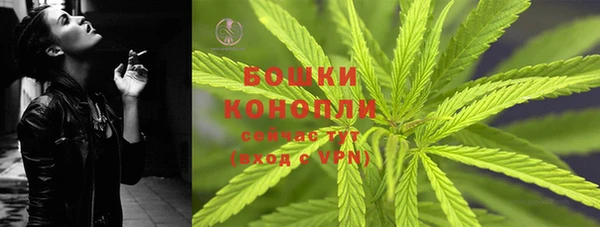 прущая мука Магас