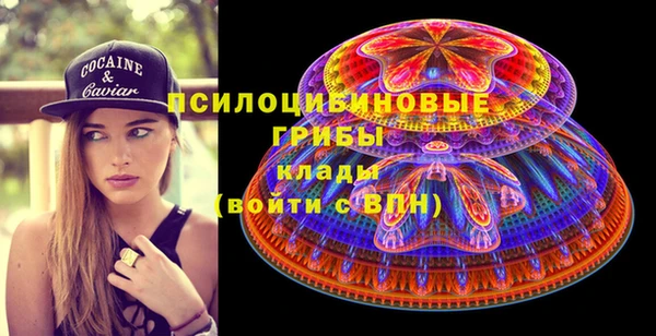 прущая мука Магас