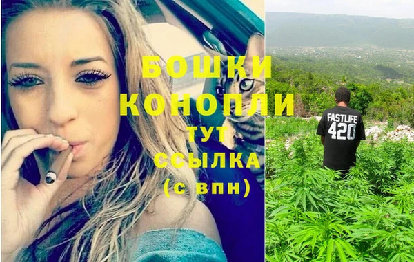 прущая мука Магас